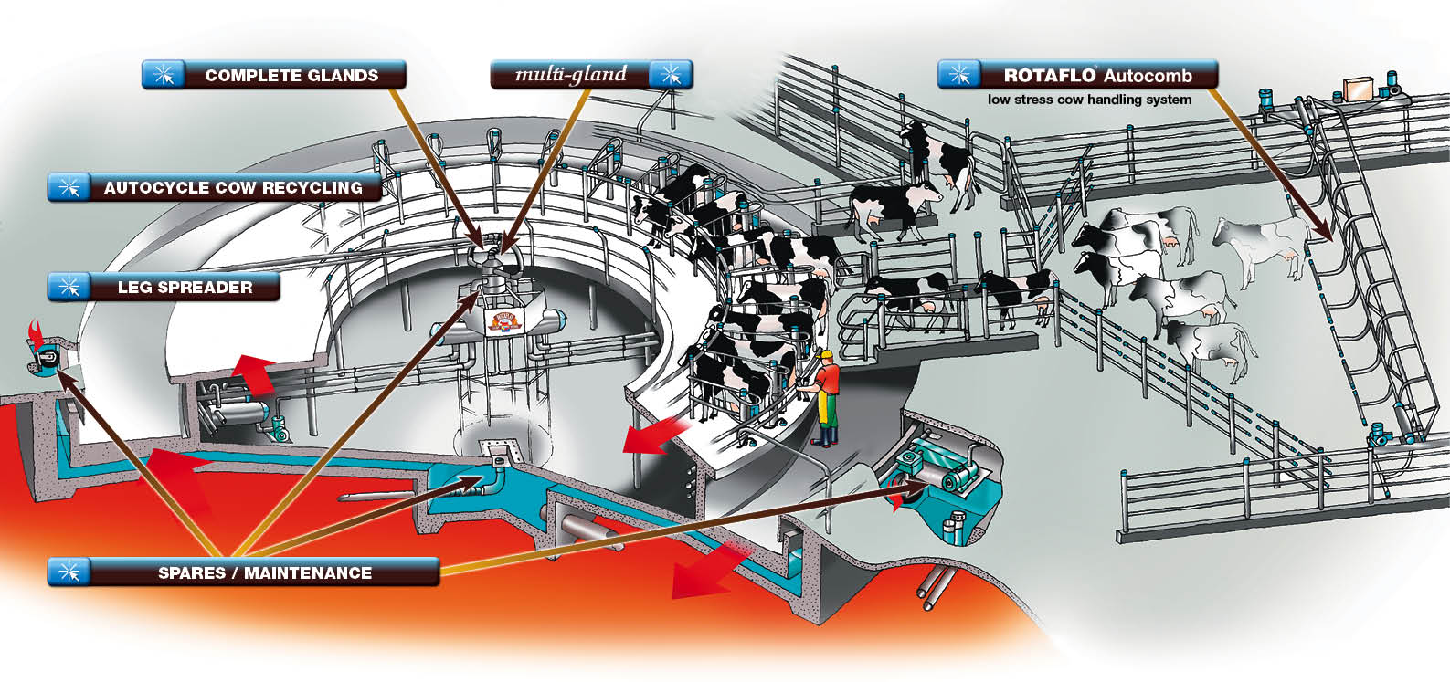 Rotaflo Basement layout