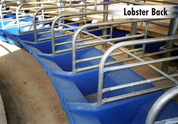 Rotaflo Lobster Back Manger